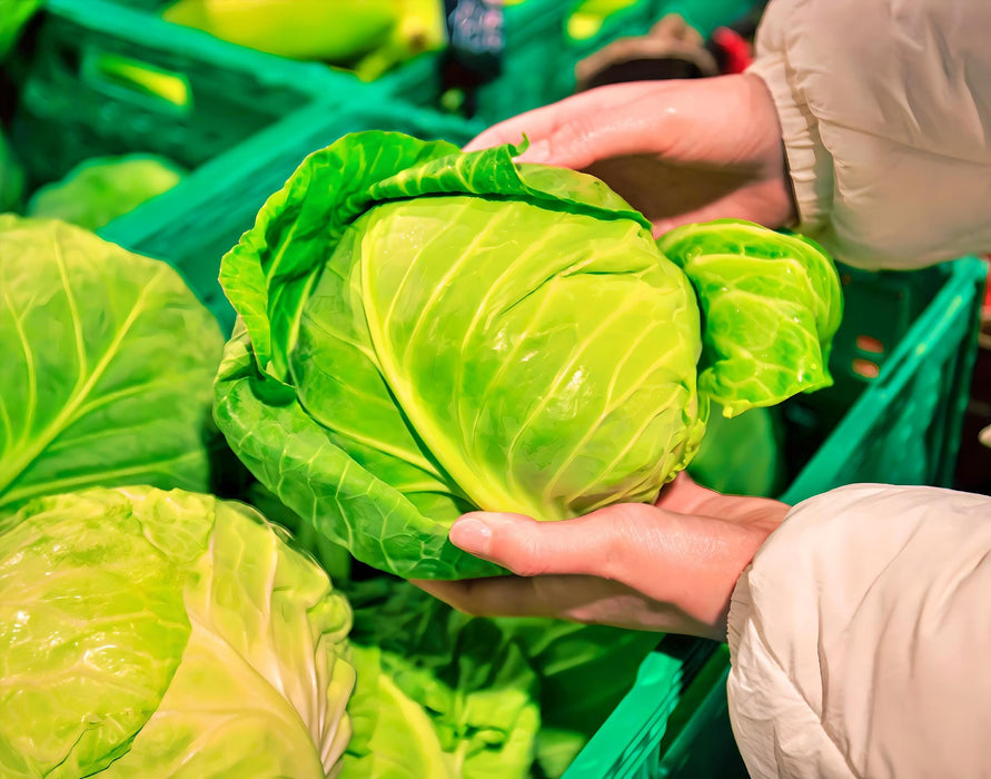 Copenhagen Market, Cabbage, -- BoxGardenSeedsLLC -Cabbage, Kale - Seeds