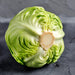 Copenhagen Market, Cabbage, - BoxGardenSeedsLLC -Cabbage, Kale - Seeds