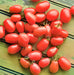 Baby Roma, Tomato, -- BoxGardenSeedsLLC -Tomatoes,Tomatillos - Seeds