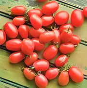Baby Roma, Tomato - BoxGardenSeedsLLC - Tomatoes,Tomatillos - Seeds - 