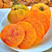 Hillbilly, Tomato - BoxGardenSeedsLLC - Tomatoes,Tomatillos - Seeds - 