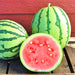 Dixie Queen, Watermelon, -- BoxGardenSeedsLLC -Melons, Cantaloupe - Seeds