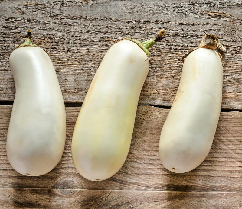 Snowy, Eggplant - BoxGardenSeedsLLC - Peppers,Eggplants - Seeds - USA Seller, Thank you for shopping here today, Naturally Grown GMO Free Seeds, Heirloom Open Pollinated Seeds, Fresh Top Quality Premium Seeds