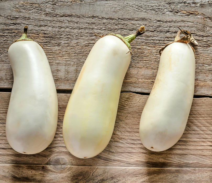 Snowy, Eggplant, - BoxGardenSeedsLLC -Peppers,Eggplants - Seeds