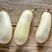 Snowy, Eggplant - BoxGardenSeedsLLC -Peppers,Eggplants - Seeds