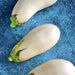 Snowy, Eggplant, - BoxGardenSeedsLLC -Peppers,Eggplants - Seeds