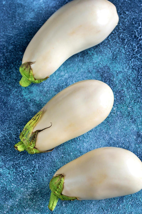 Snowy, Eggplant - BoxGardenSeedsLLC -Peppers,Eggplants - Seeds