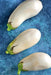 Snowy, Eggplant - BoxGardenSeedsLLC - Peppers,Eggplants - Seeds - USA Seller, Thank you for shopping here today, Naturally Grown GMO Free Seeds, Heirloom Open Pollinated Seeds, Fresh Top Quality Premium Seeds