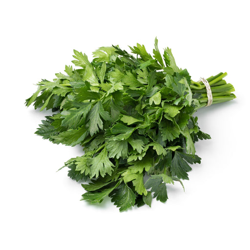 Cilantro (Coriander), Rak Tamachat, - BoxGardenSeedsLLC -Culinary/Medicinal Herbs - Seeds