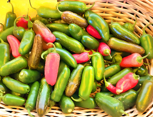 Jalapeno Chili, Hot Pepper, - BoxGardenSeedsLLC -Peppers,Eggplants - Seeds