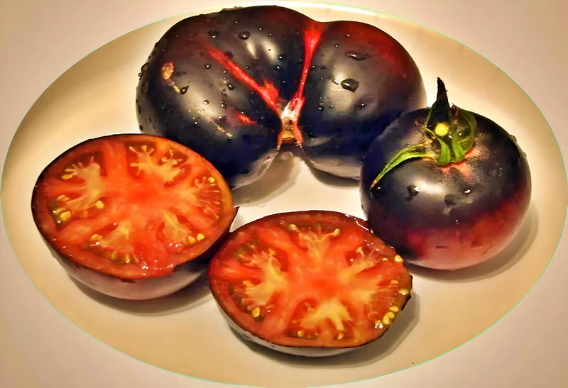 Black Beauty, Tomato - BoxGardenSeedsLLC - Tomatoes,Tomatillos - Seeds - 