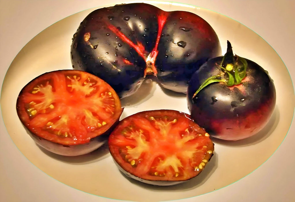 Black Beauty, Tomato, -- BoxGardenSeedsLLC -Tomatoes,Tomatillos - Seeds