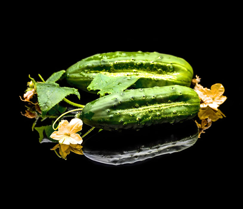 Straight Eight, Cucumber, -- BoxGardenSeedsLLC -Cucumbers - Seeds