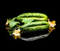 Straight Eight, Cucumber, -- BoxGardenSeedsLLC -Cucumbers - Seeds