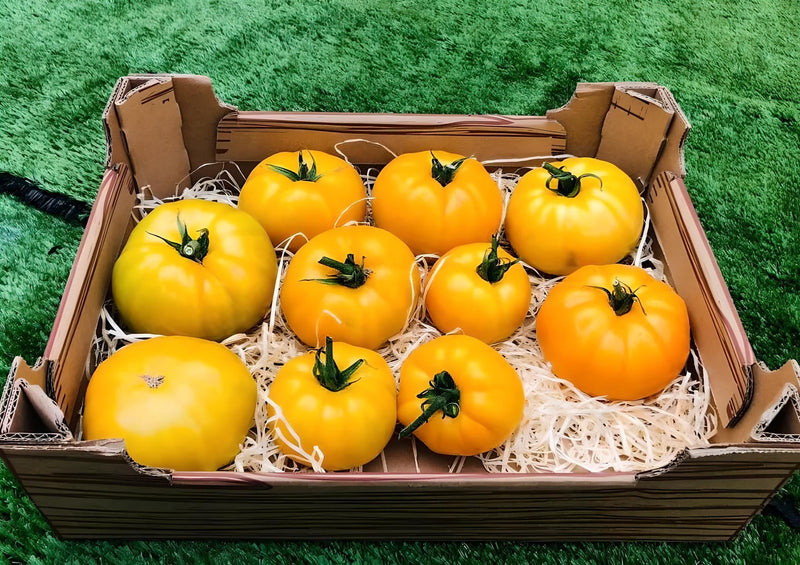 Yellow Beefsteak, Tomato - BoxGardenSeedsLLC - Tomatoes,Tomatillos - Seeds - 