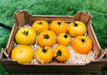 Yellow Beefsteak, Tomato, -- BoxGardenSeedsLLC -Tomatoes,Tomatillos - Seeds