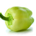 White Bell, Sweet Bell Pepper, - BoxGardenSeedsLLC -Peppers,Eggplants - Seeds