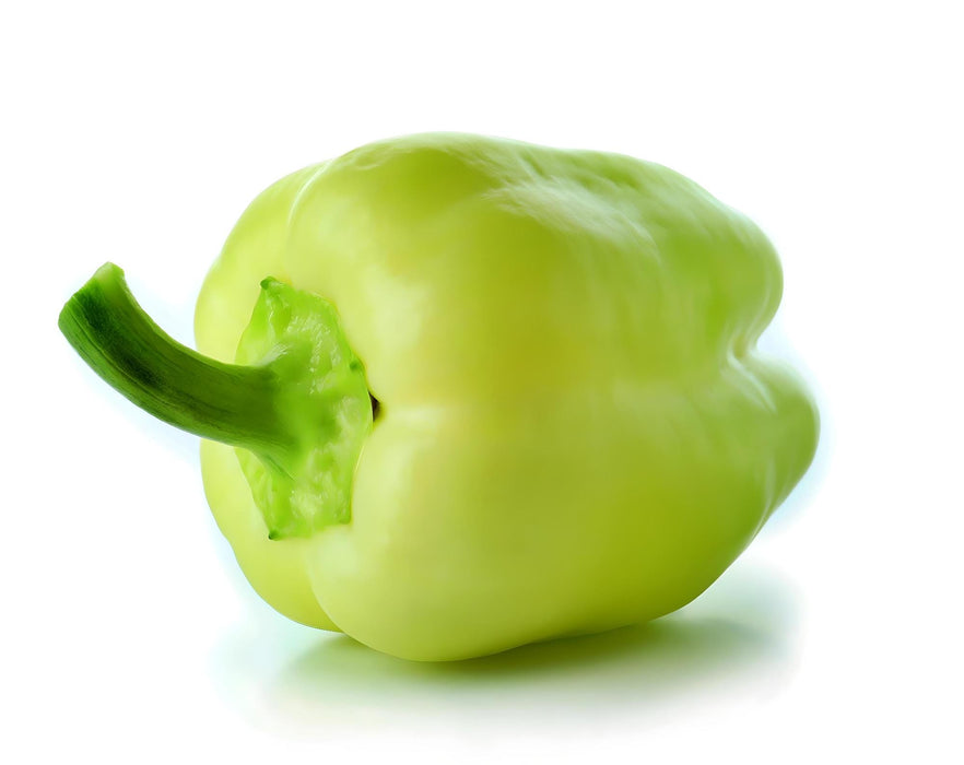 White Bell, Sweet Bell Pepper, - BoxGardenSeedsLLC -Peppers,Eggplants - Seeds