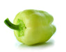 White Bell, Sweet Bell Pepper, -- BoxGardenSeedsLLC -Peppers,Eggplants - Seeds