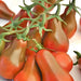 Chocolate Pear, Tomato, - BoxGardenSeedsLLC -Tomatoes,Tomatillos - Seeds