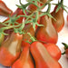 Chocolate Pear, Tomato, - BoxGardenSeedsLLC -Tomatoes,Tomatillos - Seeds