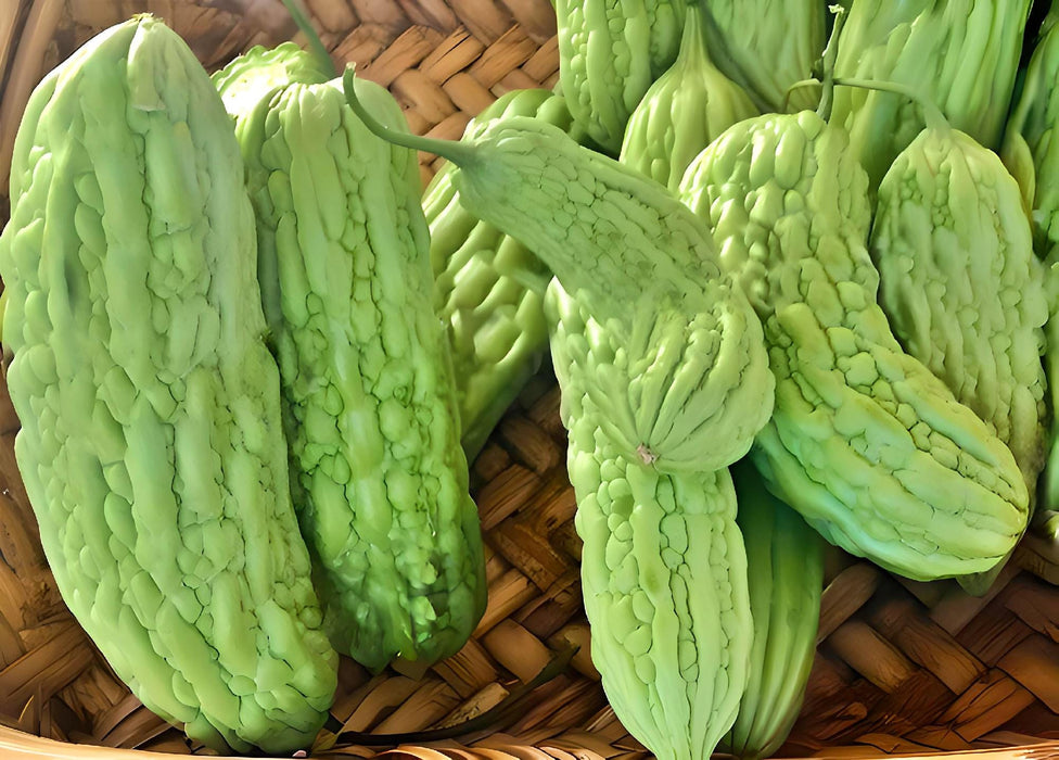 Green Skin, Bitter Melon, -- BoxGardenSeedsLLC -Squash,Pumpkins - Seeds