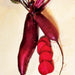 Cylindra, Beets, - BoxGardenSeedsLLC -Beet,Turnips,Parsnips - Seeds