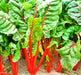 Rhubarb, Swiss Chard, -- BoxGardenSeedsLLC -Chard, Kohlrabi - Seeds