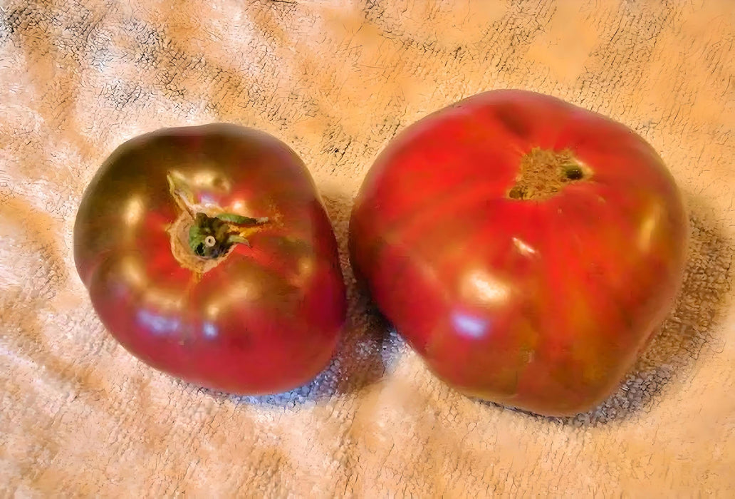 Paul Robeson, Tomato, -- BoxGardenSeedsLLC -Tomatoes,Tomatillos - Seeds