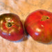 Paul Robeson, Tomato, - BoxGardenSeedsLLC -Tomatoes,Tomatillos - Seeds