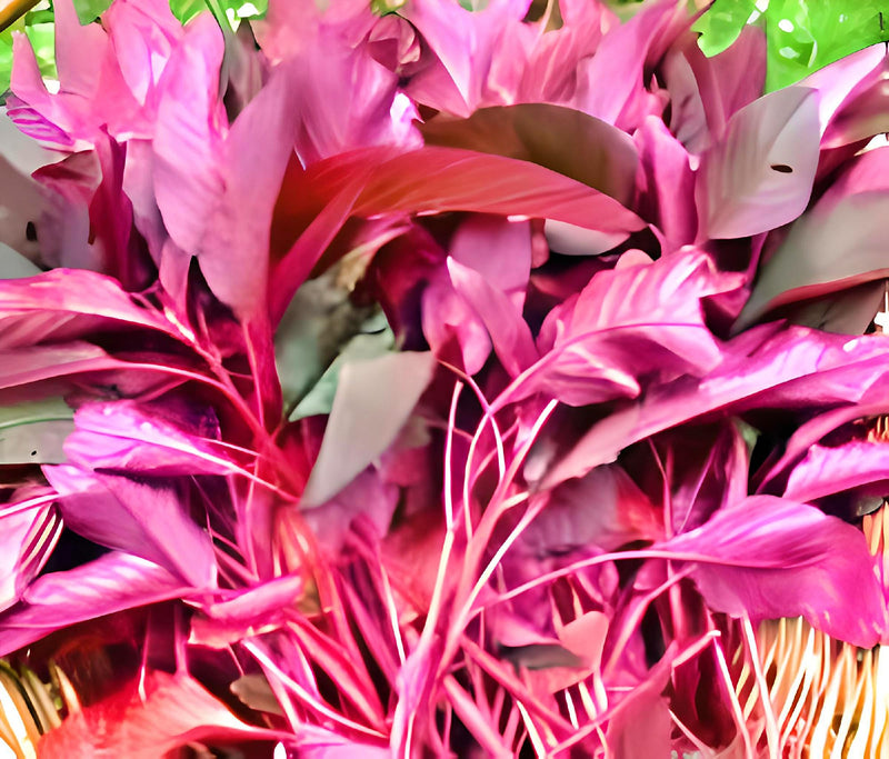 Red Garnet, Amaranth - BoxGardenSeedsLLC - Gourmet/Native Greens - Seeds - USA Seller, Thank you for shopping here today, Naturally Grown GMO Free Seeds, Heirloom Open Pollinated Seeds, Fresh Top Quality Premium Seeds