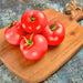 Manitoba, Tomato, - BoxGardenSeedsLLC -Tomatoes,Tomatillos - Seeds