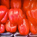 Three Color Bell Pepper Seed Kit, Sweet Pepper, -- BoxGardenSeedsLLC -Peppers,Eggplants - Seeds