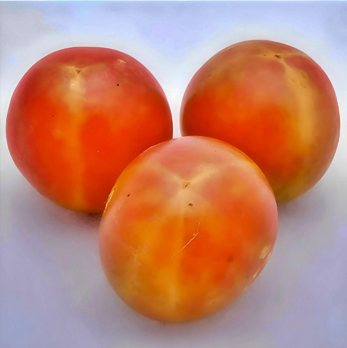 Isis Candy Cherry, Tomato, - BoxGardenSeedsLLC -Tomatoes,Tomatillos - Seeds