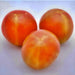 Isis Candy Cherry, Tomato, -- BoxGardenSeedsLLC -Tomatoes,Tomatillos - Seeds