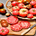 Favorite Slicer, Tomato Seed Kit, - BoxGardenSeedsLLC -Tomatoes,Tomatillos - Seeds