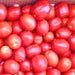 Northern Ruby Paste, Tomato, - BoxGardenSeedsLLC -Tomatoes,Tomatillos - Seeds