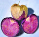 Purple, Tomatillo, -- BoxGardenSeedsLLC -Abundant Stock SALE - Seeds