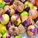 Purple, Tomatillo - BoxGardenSeedsLLC -Abundant Stock SALE - Seeds