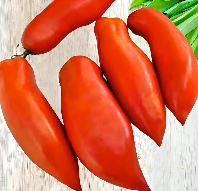 Jersey Devil, Tomato - BoxGardenSeedsLLC - Tomatoes,Tomatillos - Seeds - 