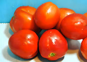 Mother Russia, Tomato - BoxGardenSeedsLLC - Tomatoes,Tomatillos - Seeds - 