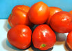 Mother Russia, Tomato, -- BoxGardenSeedsLLC -Tomatoes,Tomatillos - Seeds