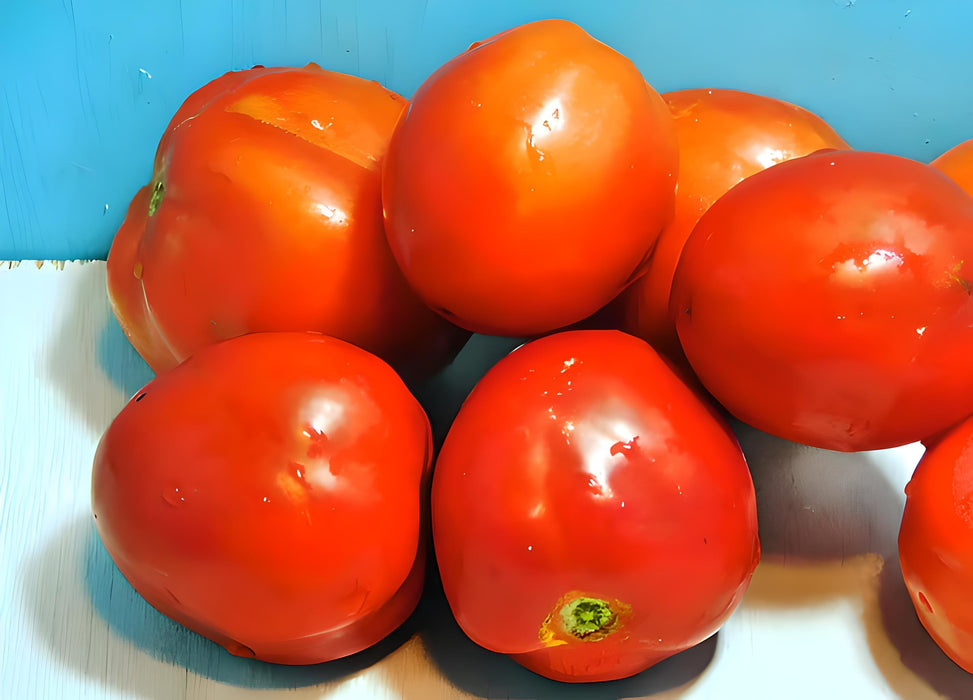 Mother Russia, Tomato, -- BoxGardenSeedsLLC -Tomatoes,Tomatillos - Seeds