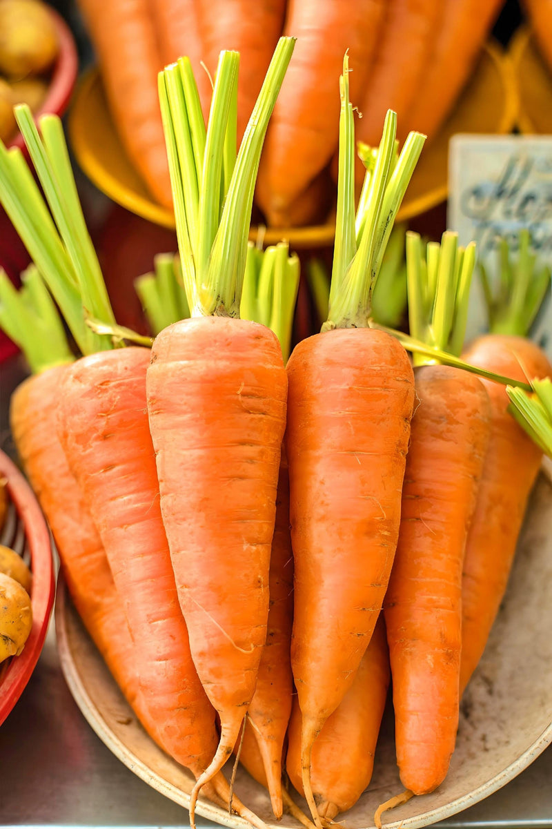 Danvers 126, Carrot - BoxGardenSeedsLLC - Carrots - Seeds - USA Seller, Thank you for shopping here today, Naturally Grown GMO Free Seeds, Heirloom Open Pollinated Seeds, Fresh Top Quality Premium Seeds