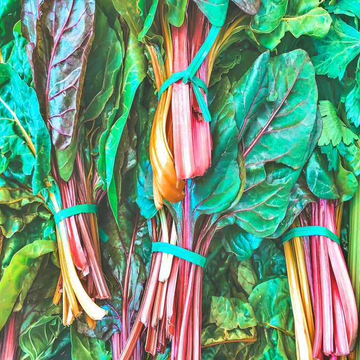 Five Color SilverBeets, Australian Swiss Chard, - BoxGardenSeedsLLC -Chard, Kohlrabi - Seeds