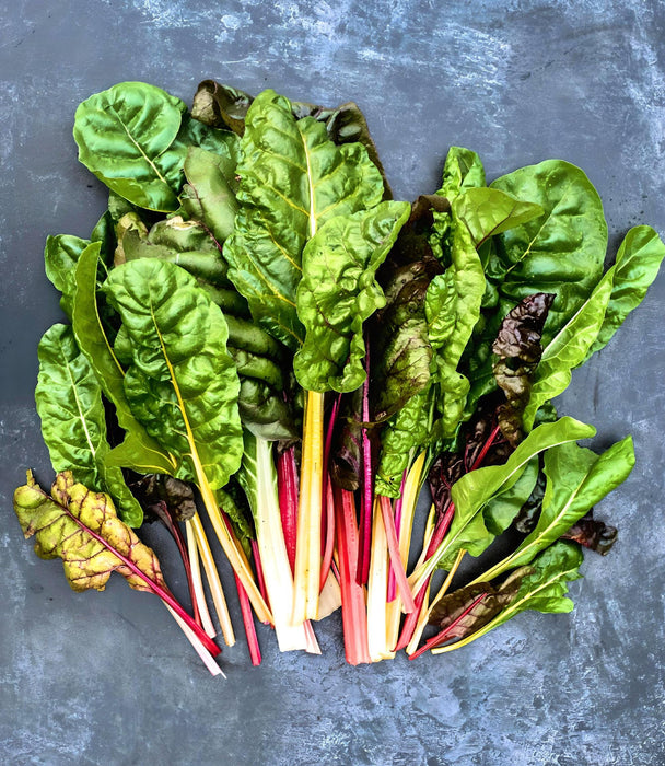 Five Color SilverBeets, Australian Swiss Chard, - BoxGardenSeedsLLC -Chard, Kohlrabi - Seeds