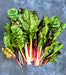 Five Color SilverBeets, Australian Swiss Chard, -- BoxGardenSeedsLLC -Chard, Kohlrabi - Seeds