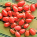 Cherry Roma, Tomato, - BoxGardenSeedsLLC -Tomatoes,Tomatillos - Seeds