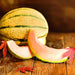 Planters Jumbo, Cantaloupe, - BoxGardenSeedsLLC -Melons, Cantaloupe - Seeds