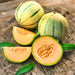 Planters Jumbo, Cantaloupe, - BoxGardenSeedsLLC -Melons, Cantaloupe - Seeds